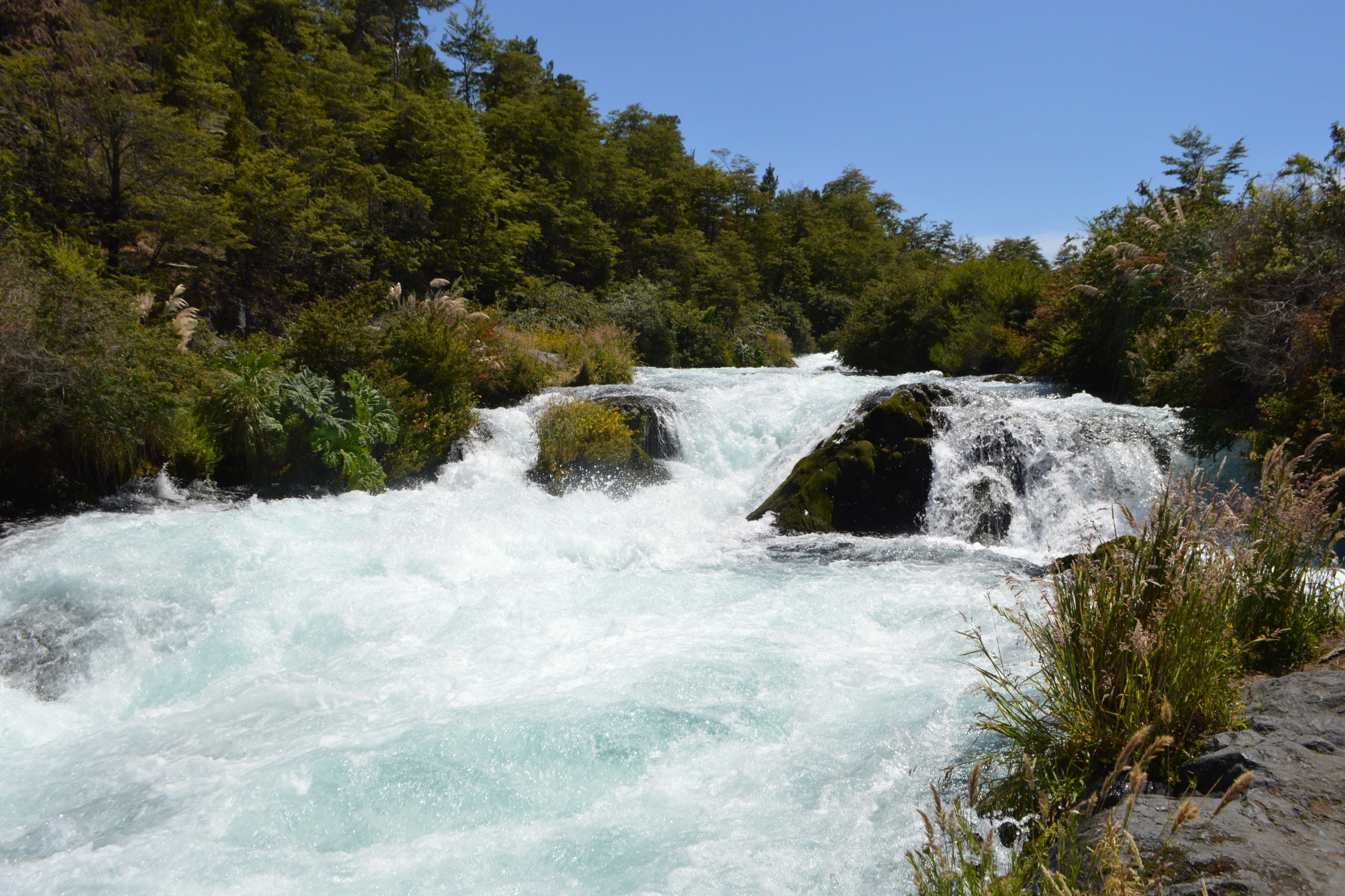 Melipeuco[1].webp